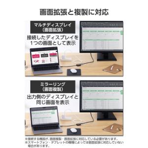 エレコム AD-CHDMIPD100SV 変換...の詳細画像4