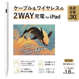 エレコム P-TPACSTAP11WH iPa...の詳細画像1