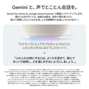 Google GA09978-JP Googl...の詳細画像2