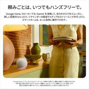 Google GA09978-JP Googl...の詳細画像3