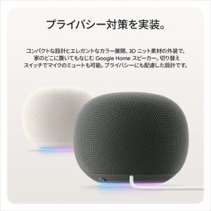Google GA09978-JP Googl...の詳細画像5