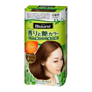 ブローネ ナチュリラ 色長持ちカラートリートメント ブラック つけかえ