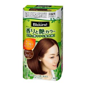 利尻ヘアカラートリートメント ライトブラウン ( 200g )/ 利尻 ヘア