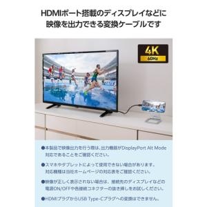 エレコム MPA-CHDMIY10BK3 変換...の詳細画像1