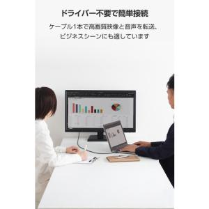エレコム MPA-CHDMIY10BK3 変換...の詳細画像4