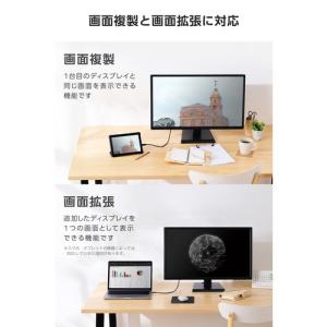 エレコム MPA-CHDMIY10BK3 変換...の詳細画像5