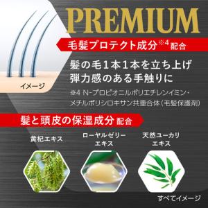 花王 サクセスバイタルチャージ薬用育毛剤プレミ...の詳細画像4
