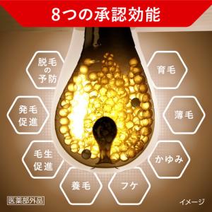 花王 サクセスバイタルチャージ薬用育毛剤プレミ...の詳細画像5