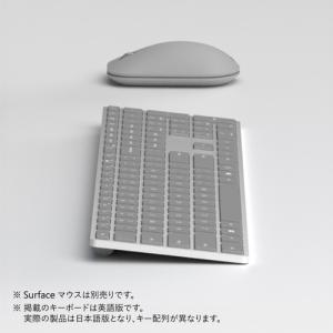 Microsoft EP2-04208 Sur...の詳細画像2