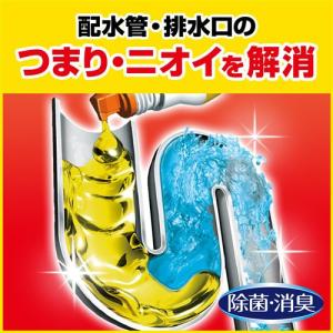 ジョンソン パイプユニッシュ 800Gの詳細画像2