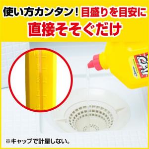 ジョンソン パイプユニッシュ 800Gの詳細画像5