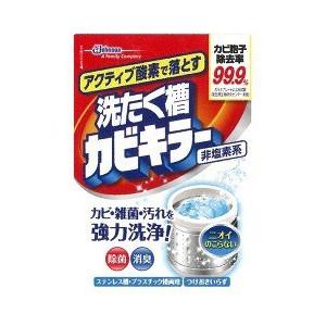 ジョンソン アクティブ酸素で落とす洗たく槽カビキラー 250g｜ヤマダデンキ Yahoo!店