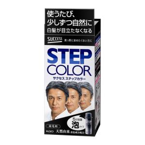 サクセスブラック ふんわり仕上がるカラートリートメント 4箱　未開封　匿名配送 サクセスブラックふんわり仕上がるカラートリートメント本体 ( 155g