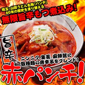 赤パンチ（もつ煮込み）10袋セット もつ煮 もつ鍋 豚もつ 国産