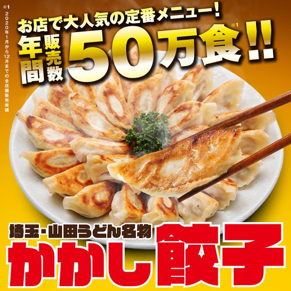 かかし餃子 中華 おつまみ おかず 惣菜 冷凍食品 業務用 埼玉 名物 ギフト お取り寄せグルメ ポ...