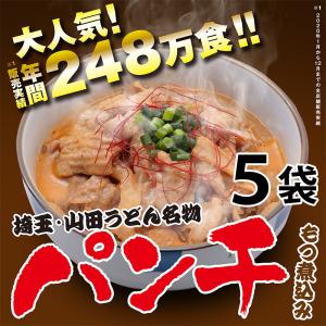 パンチ（もつ煮込み）５袋セット もつ煮 もつ鍋