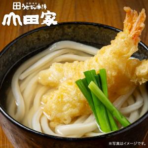 山田家 冷凍 個食鍋 讃岐うどん 讃岐海老天ぷ...の詳細画像1