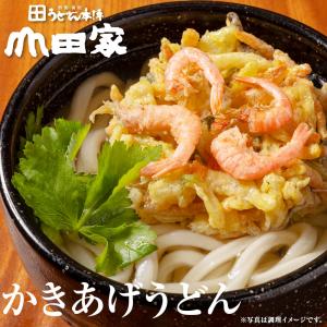 山田家 冷凍 讃岐うどん 4種の味の詰合せ 讃...の詳細画像4