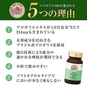 山田養蜂場 プロポリス300 100球入 ビタ...の詳細画像4