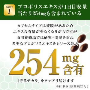 山田養蜂場 プロポリス300 100球入 ビタ...の詳細画像5