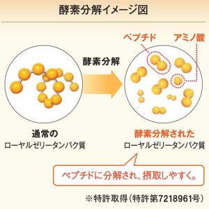 山田養蜂場 酵素分解ローヤルゼリーエクストラ ...の詳細画像3