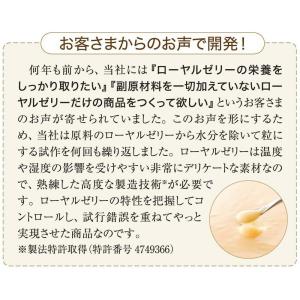 山田養蜂場 100%ローヤルゼリー粒 2粒×3...の詳細画像2