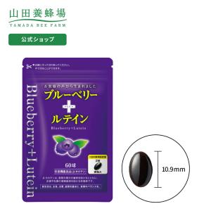 山田養蜂場 ブルーベリー＋ルテイン 60球/袋入 ギフト プレゼント サプリメント 健康補助食品 健康 人気 健康 父の日