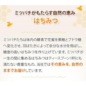 山田養蜂場 ヒマワリ蜂蜜(ルーマニア産) 30...の詳細画像1