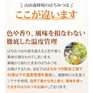 山田養蜂場 ヒマワリ蜂蜜(ルーマニア産) 30...の詳細画像2