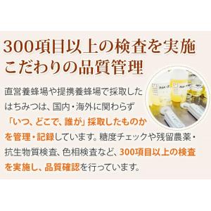 山田養蜂場 ヒマワリ蜂蜜(ルーマニア産) 30...の詳細画像3