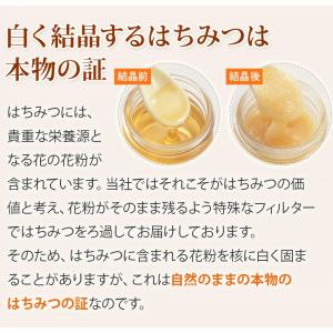 山田養蜂場 ヒマワリ蜂蜜(ルーマニア産) 30...の詳細画像4