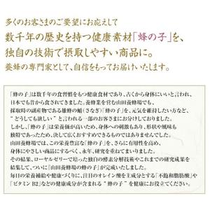 山田養蜂場 酵素パワー 蜂の子 袋入 125球...の詳細画像2