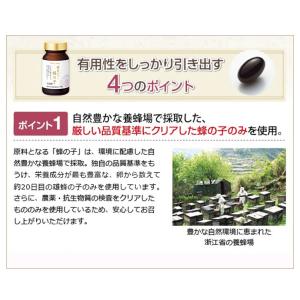 山田養蜂場 酵素パワー 蜂の子 袋入 125球...の詳細画像3