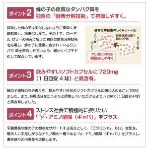 山田養蜂場 酵素パワー 蜂の子 袋入 125球...の詳細画像4