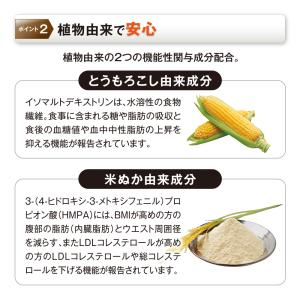 山田養蜂場 糖脂カットスリム 30袋 機能性表...の詳細画像3