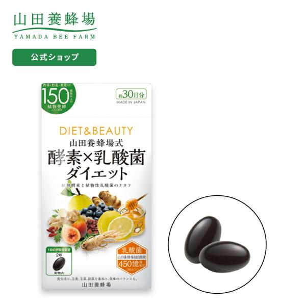 山田養蜂場 酵素×乳酸菌ダイエット 60球袋入 ギフト プレゼント 健康食品 人気 健康 父の日