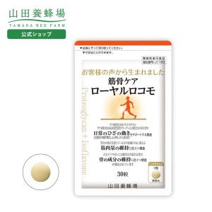 ボディマスター BODYMASTER HMB NMN 30粒 3袋セット : BRハウス Yahoo
