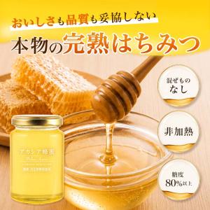 山田養蜂場 アカシア蜂蜜(ルーマニア産) 20...の詳細画像1