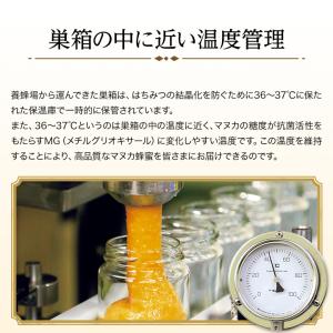 山田養蜂場 マヌカ蜂蜜 MG500+(クリーム...の詳細画像4