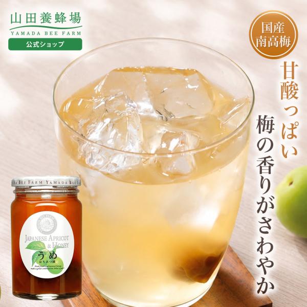 山田養蜂場 うめはちみつ漬 450g はちみつ ギフト お中元