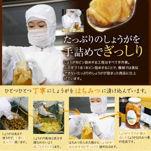 山田養蜂場 しょうがはちみつ漬 200g 生姜...の詳細画像5