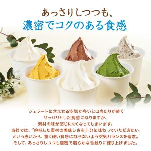 山田養蜂場 はちみつジェラートよくばりセット ...の詳細画像5