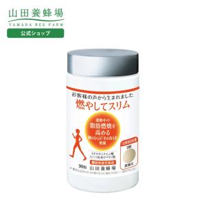 ファッションボディ FASHIONBODY 90g ( 3g × 30包 ) リタ 置き換え