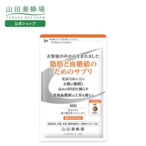 尿酸と脂肪のダブルバスター Wバスター 36g ( 400mg × 90粒 ) ロカボ