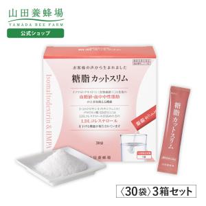PYR FILING PLUS パイラ ファイリング プラス 45包入り【2箱セット