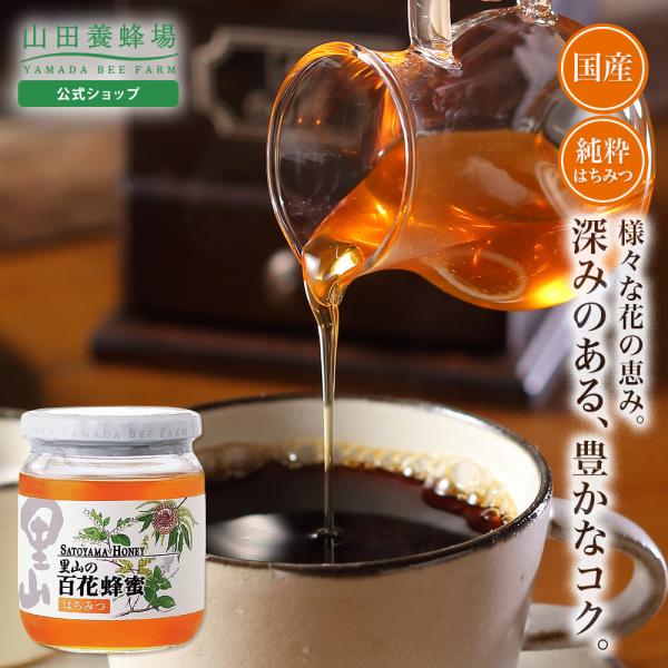 山田養蜂場 里山の百花蜂蜜 国産  550gビン入 グリホサート検査済 はちみつ ギフト 敬老の日