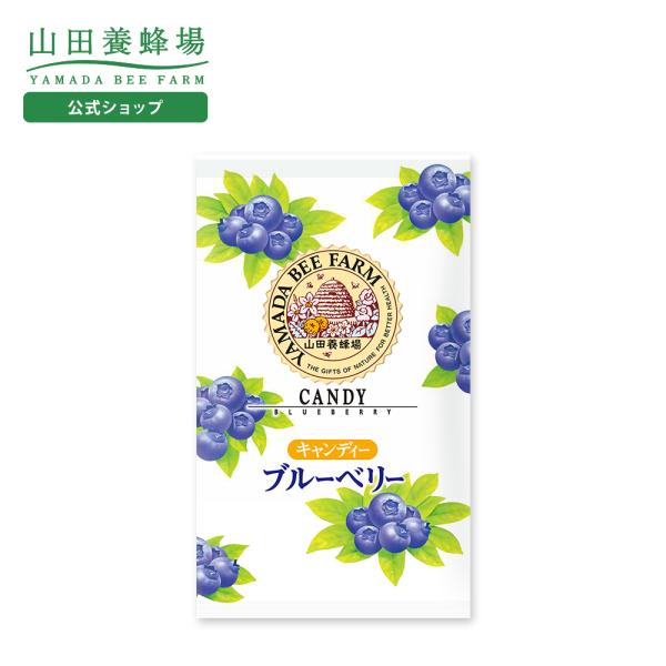 山田養蜂場 ハニーキャンディーブルーベリー 100g入（24-26粒） はちみつ ギフト お歳暮