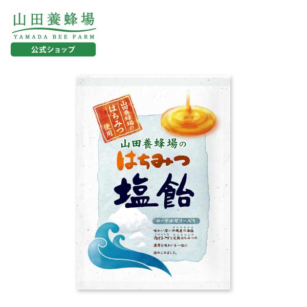 山田養蜂場 はちみつ塩飴 80g入（19-21粒） 海塩ぬちまーす 塩飴 あめ キャンディー はちみ...