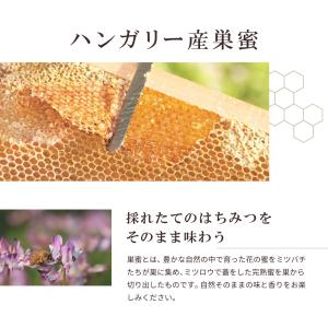 山田養蜂場 巣蜜(ハンガリー産)200g ミツ...の詳細画像4