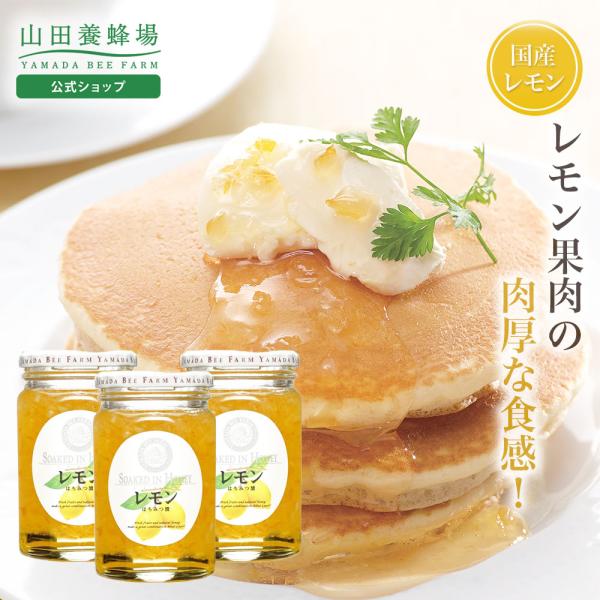 山田養蜂場 レモンはちみつ漬 450g×3 はちみつ ギフト お中元